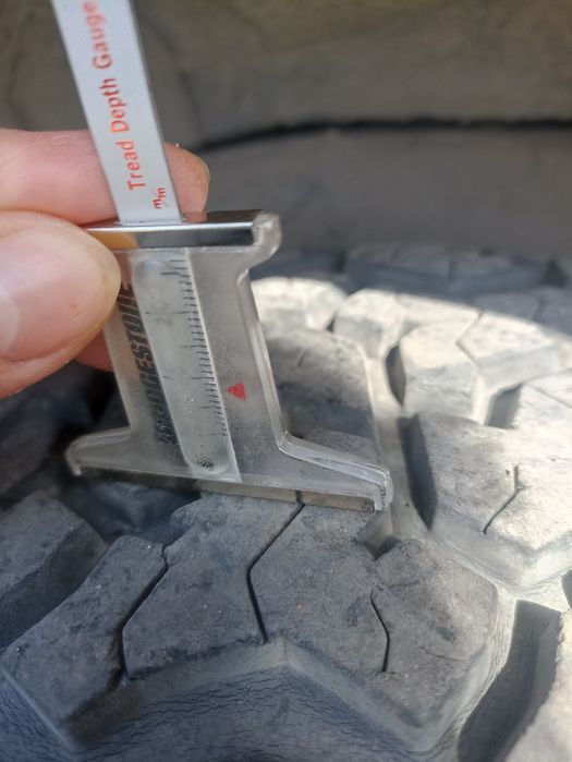 Резина Maxxis worm drive