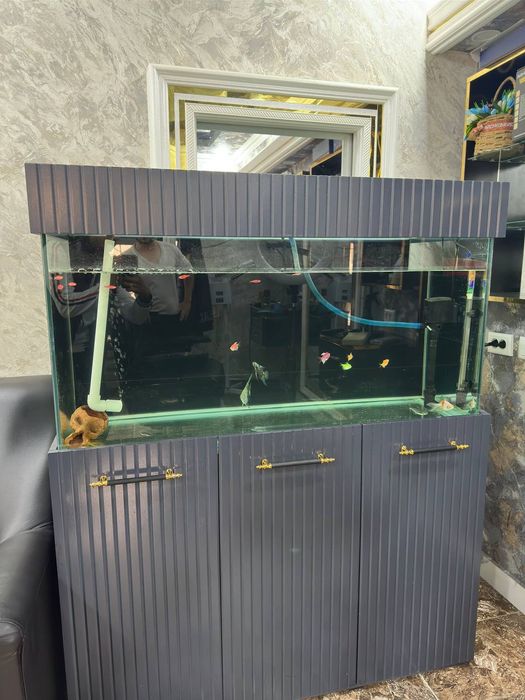 Akvareum 1 tonnalik