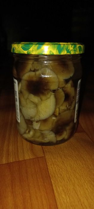 Маринованые опята