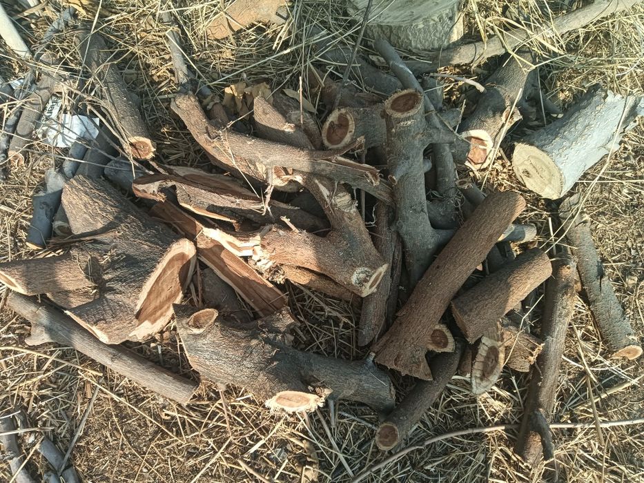 Отын бар 50мын.т