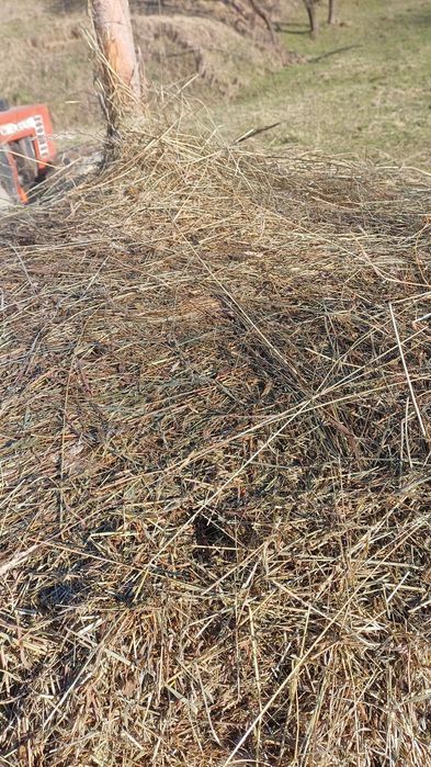 Vând 220 de baloți de fân