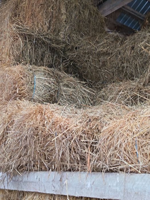 Vând baloți fân și presă de balotat