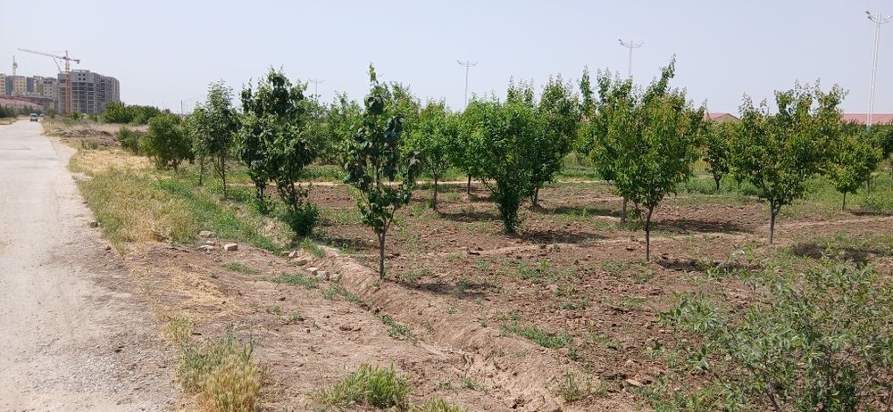 Namunali Katej sotiladi 6 sotix yeri bor  2017 yil qurilgan