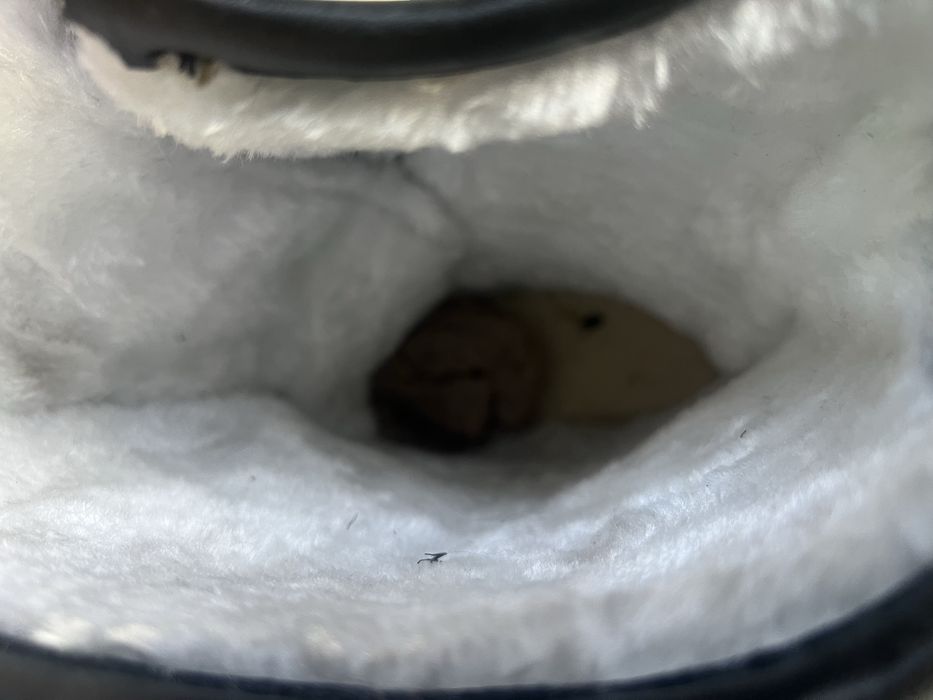 Етик сатамын жана