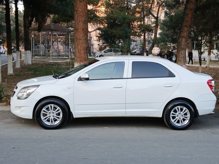 Cobalt Style Plus 2022