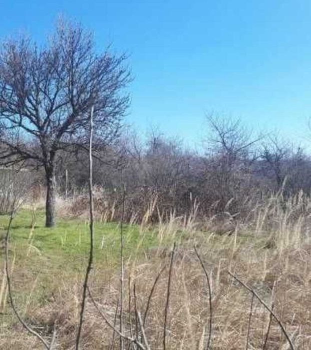 Продава се Парцел в с. Мерданя, Област Велико Търново - 700 кв.м за 17 €/кв.м - Снимка #1