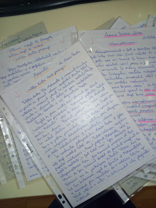 Referate / Caracterizari        Opere Literare   liceu - BAC