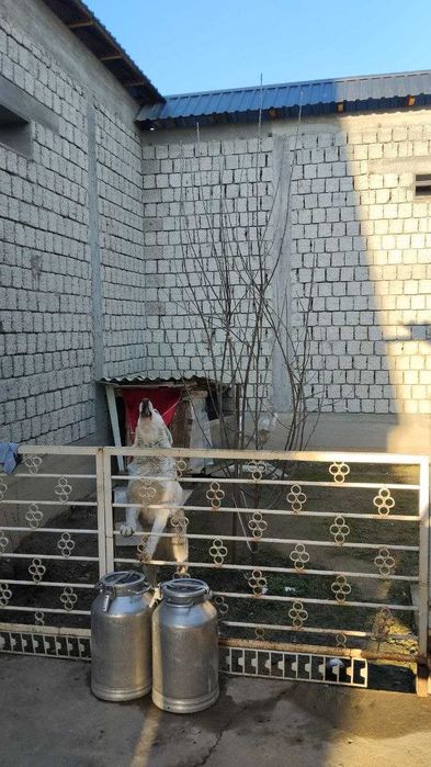 Частный дом на пяти сотках. Яшнабадский район