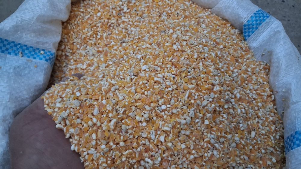 Маккажўхори уни сотилади