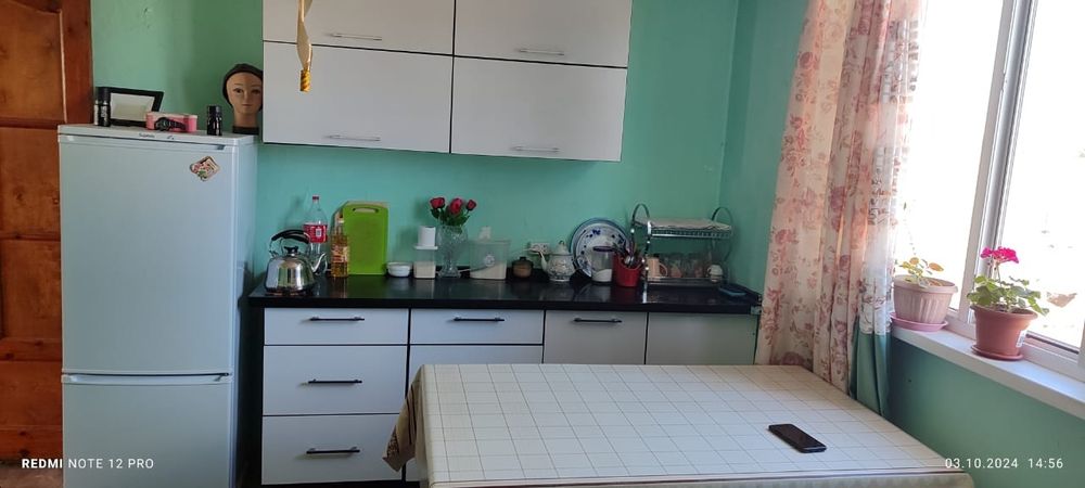 Продам дом-дачу напротив Заречного