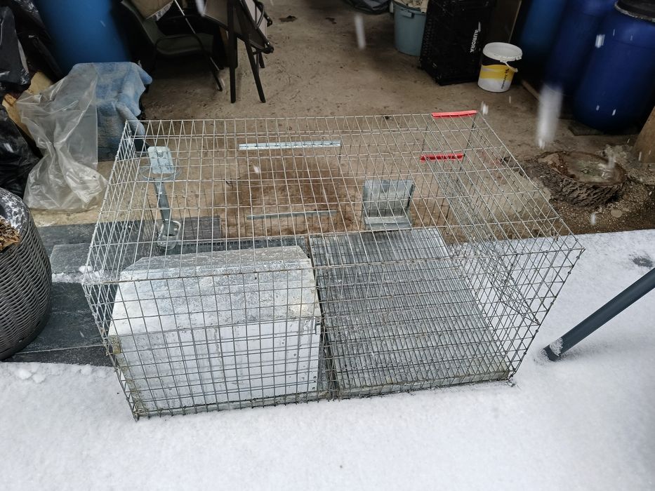 Cuști pentru iepuri