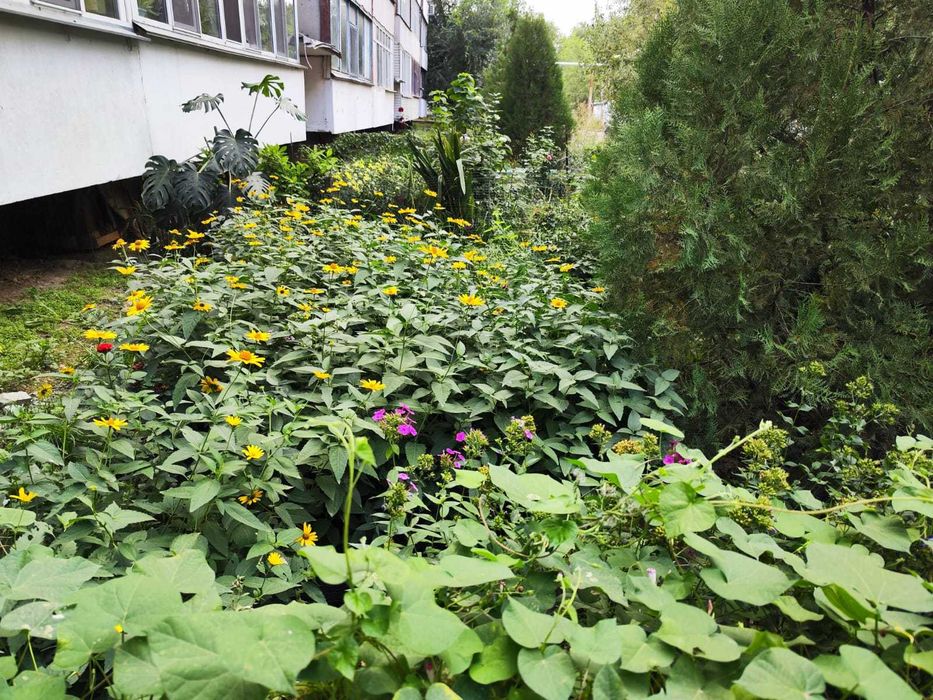 Продам квартиру в Боралдае (в военном городке)