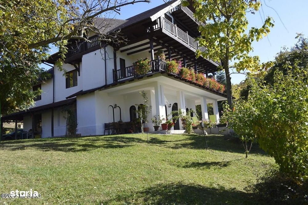 Topoloveni - Conacul Ion Mihalache, Domeniu pe 5 Hectare