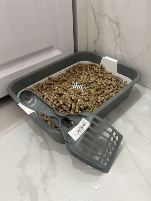 Отдам котёнка (девочку), чёрного окраса.