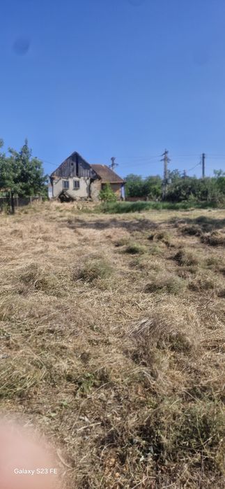 Teren pentru casă cu gradină