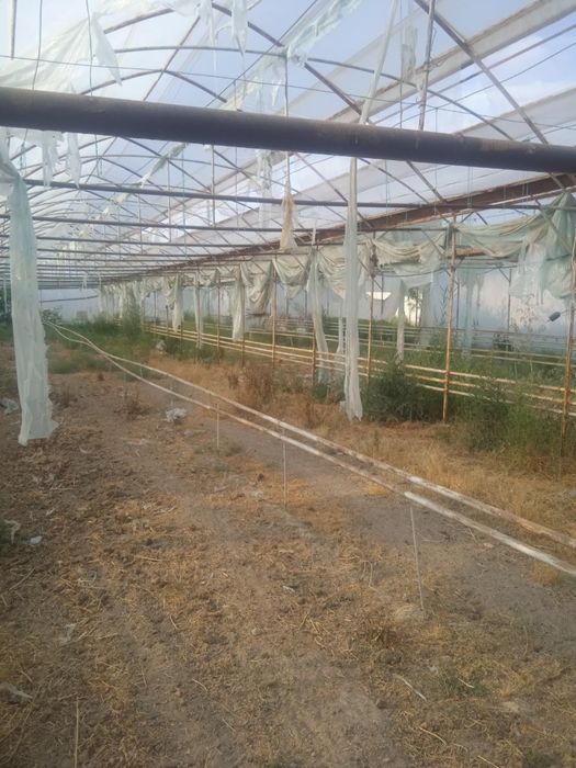 Продаётся теплица, парник.