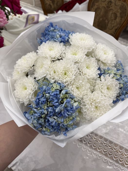 Цветы бу гортензия