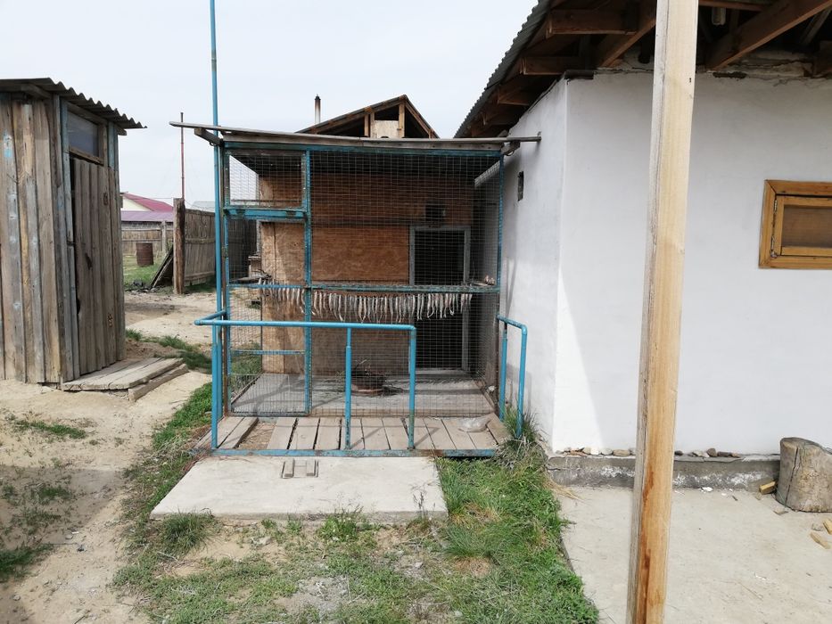 Продам голубятник.