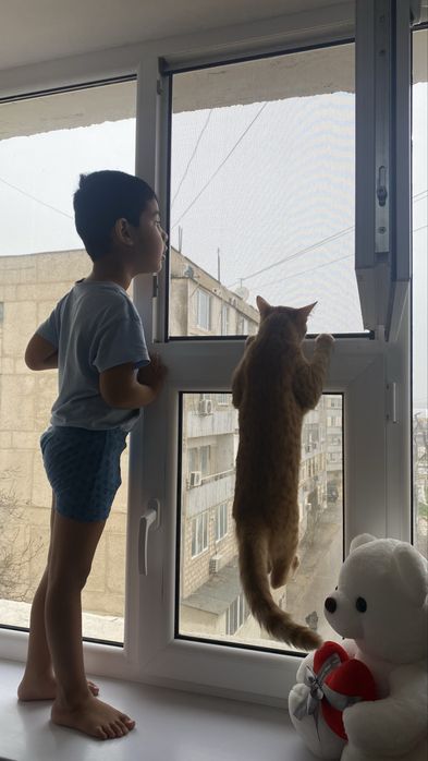 Отдам в добрые руки