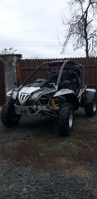 Quadzilla buggy hot sale rl500