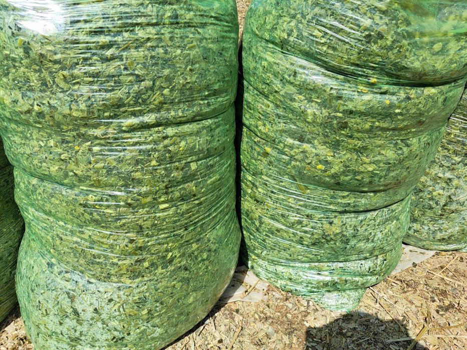 Salafan qoplar optom ishlab chqaruvchidan