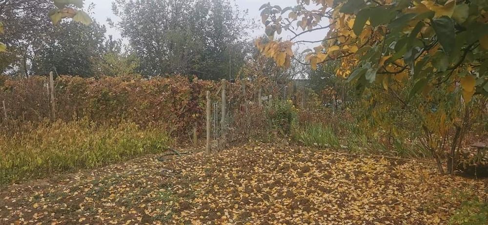 Продава се Къща в Видин, Нов път - 200 кв.м за 90 €/кв.м - Снимка #5