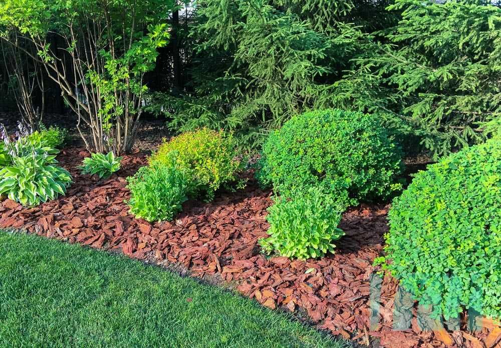 Мульча лиственницы для идеального участка