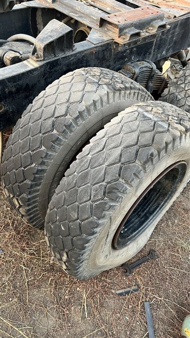 Баллоны 12.00, камеры 12, флиппер