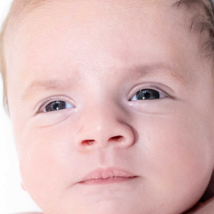 Fotograf nunta/botez/majorat