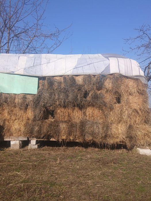 Vând baloți de fan 19 lei buc