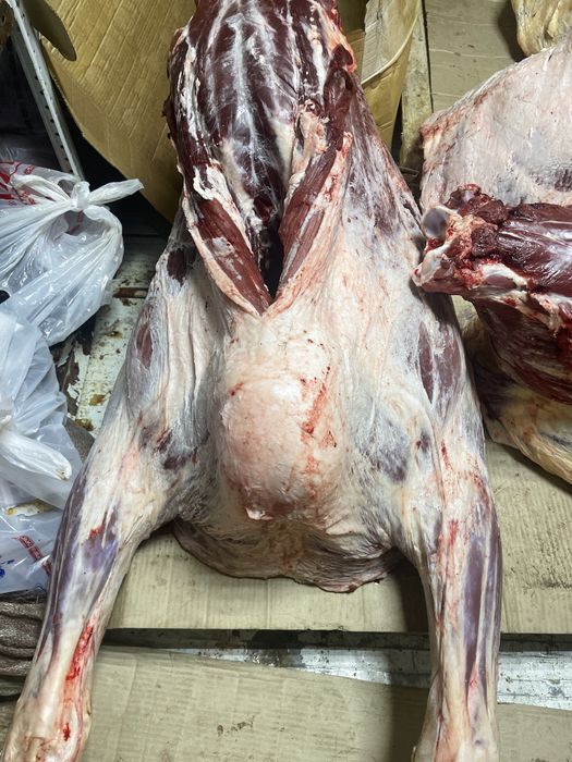 Мясо молодняк говядины