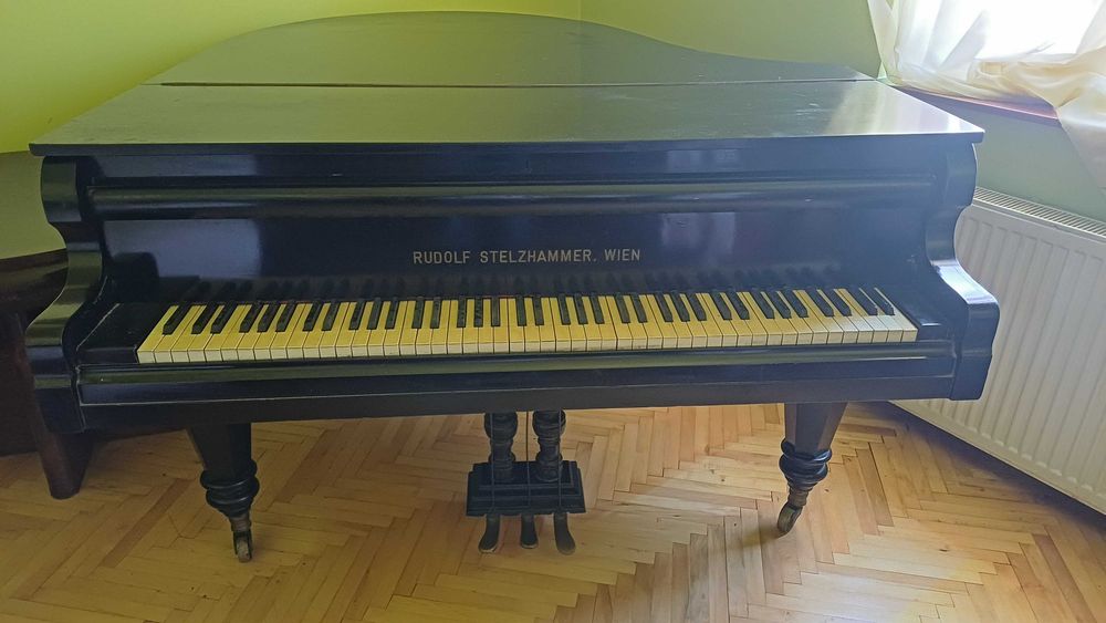 Pian cu coada vienez Stelzhammer