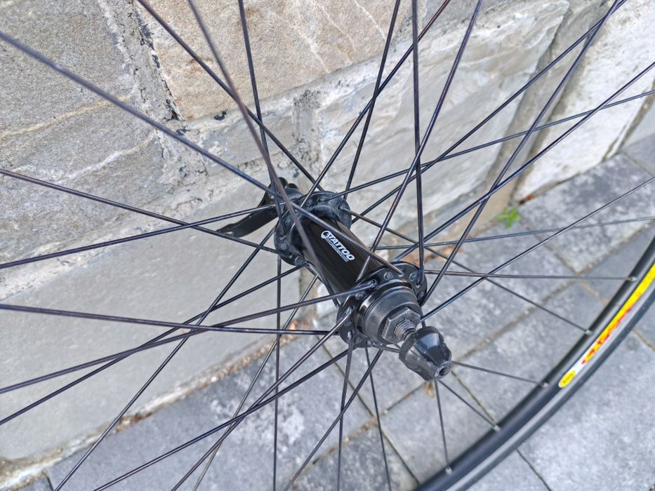 Roti Cursiera Mavic