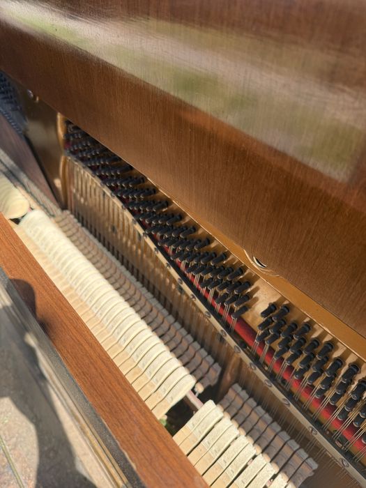 Pianina Steinberg