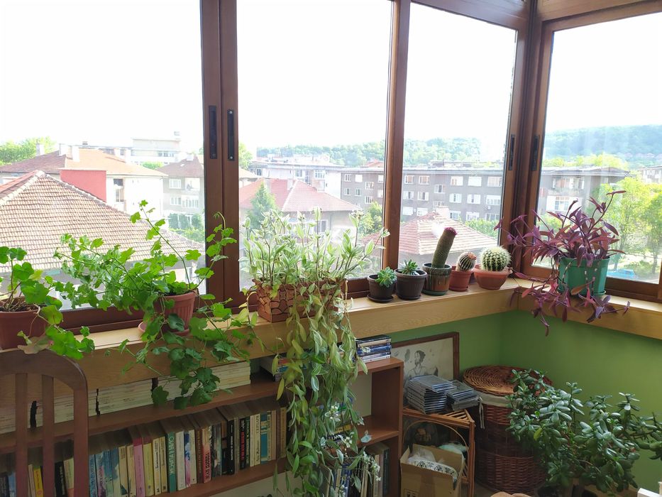 Продава се Двустаен апартамент в Монтана, Жеравица - 78 кв.м за 1485 €/кв.м - Снимка #13