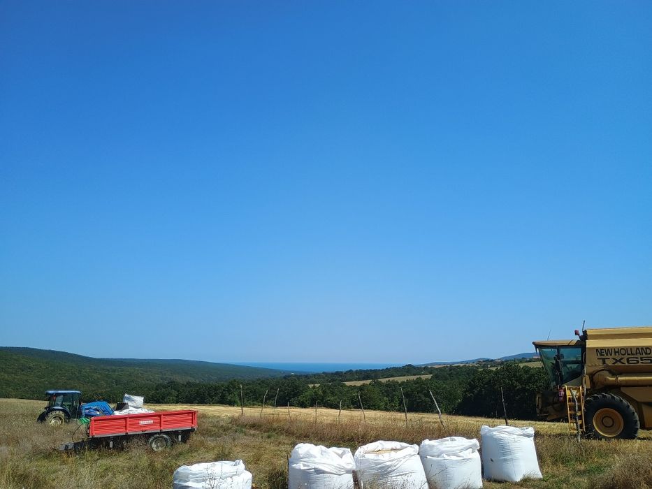 Лимец - екологично чист