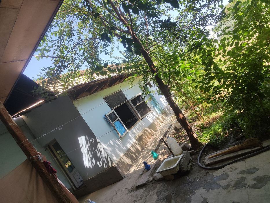 Томарка буш жой йер хисобида