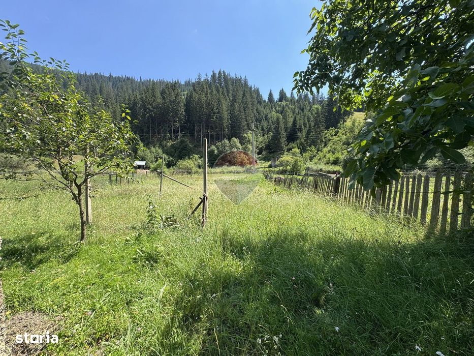 De vanzare | Teren intravilan 1342 mp in Sabasa | Borca | Neamt