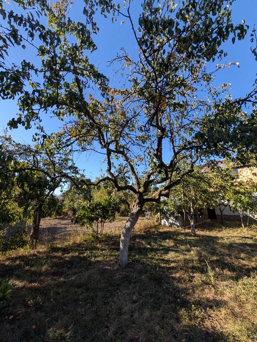 Продава се Къща в с. Александрово, Област Стара Загора - 100 кв.м за 612 €/кв.м - Снимка #19