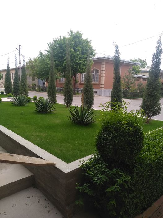 Газоны цветы деревья