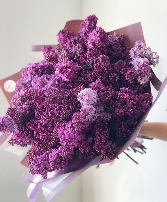 сирень букеты по 5000