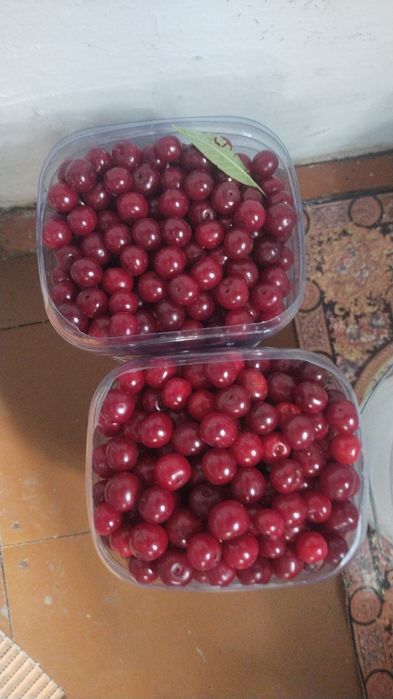 Продам дачу, сад Берёзка