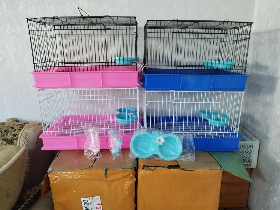 Кролики декоративные