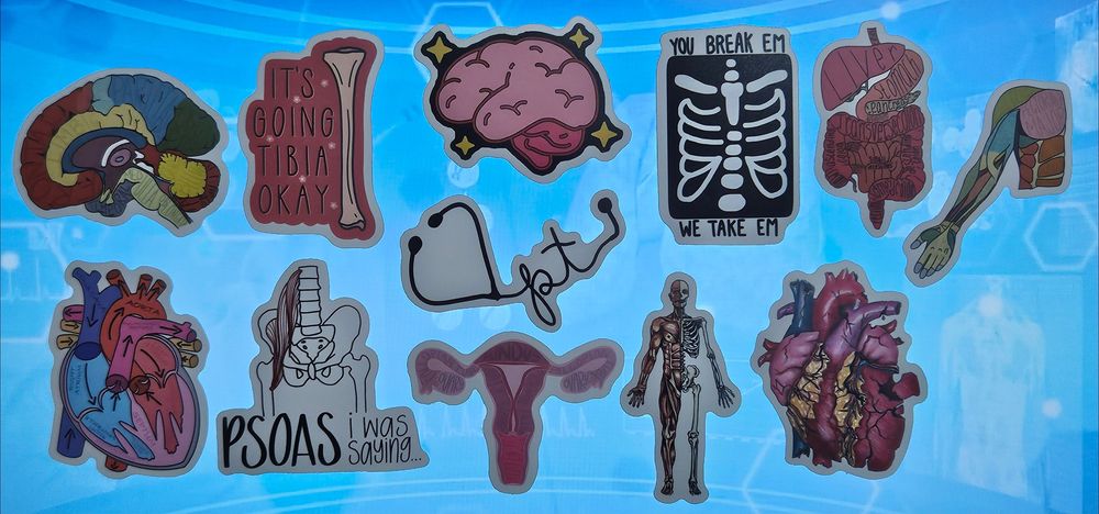 Стикери анатомия/котки/кафе/държави