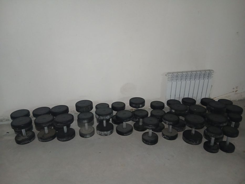 Гантелы Technogym