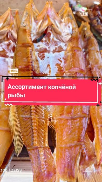 Копчоная рыба каптит етілген балық