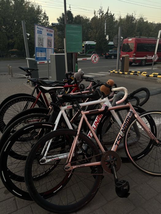 Tsunami SNM100 Rose-Gold