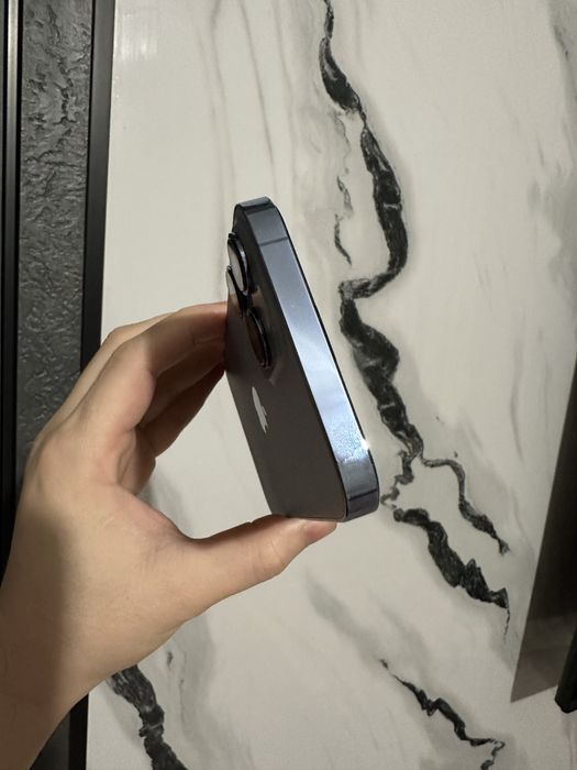 Apple 13 про макс