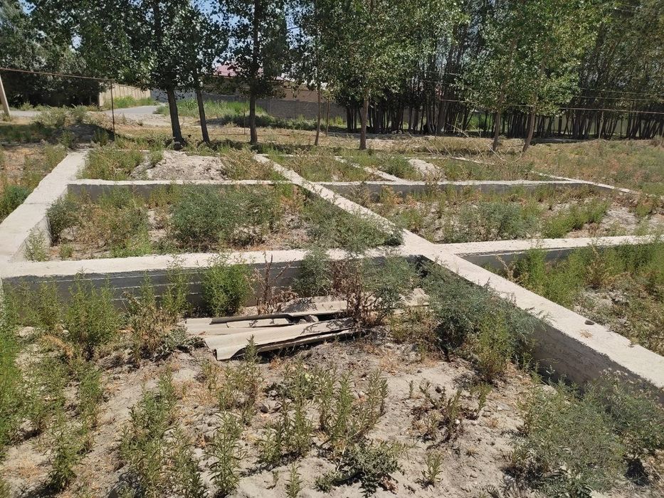 Uchastka sotiladi. Jomboy xashdala