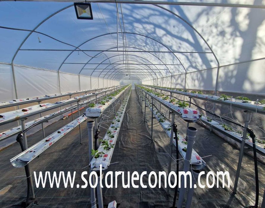 Solarii/sere, accesorii (folie, clipsuri etc)